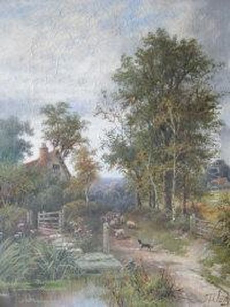 Driving Sheep In A Country Lane Oil Painting by Octavius Thomas Clark