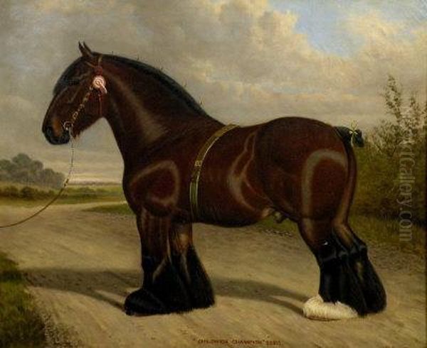 'a Portrait Of The Shire Horse 'childwick Champion' 22215' Oil Painting by William Albert Clark