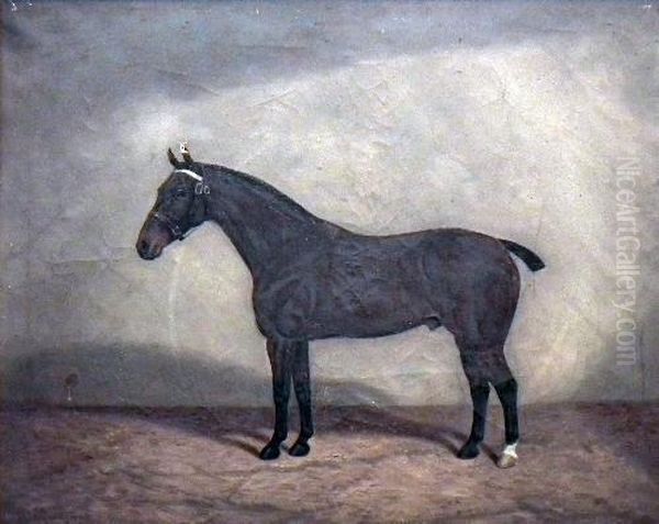 Portrait Of Abay Horse In A Stable Oil Painting by William Albert Clark