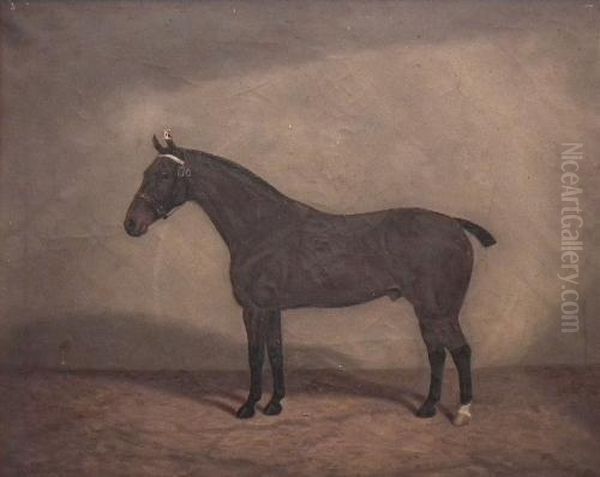 Portrait Of A
Bay Horse In A Stable Oil Painting by William Albert Clark