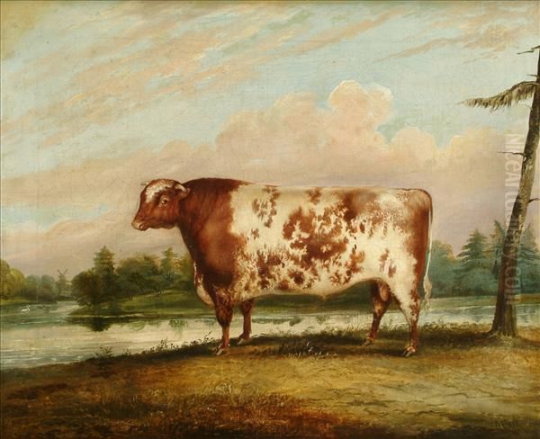 In The Manor Of A. Clark Portrait Of A Bull In A Landscape Oil Painting by A. Clark