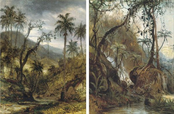 Jungle River Landscapes, Believed To Be Cuba Oil Painting by Henry Cleenewerck