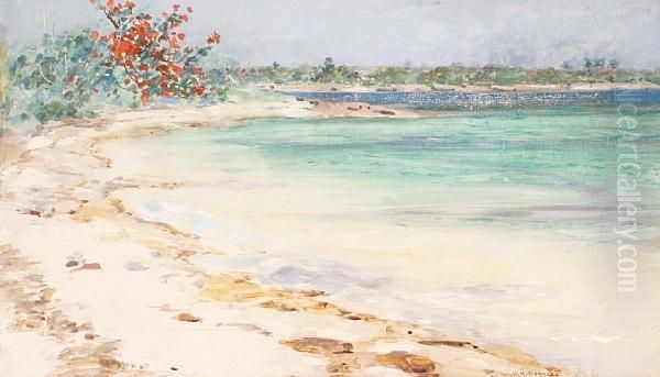 Coastal Scene, Nassau Oil Painting by George Henry Clements