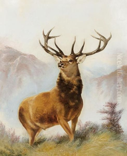 A Highland Stag Oil Painting by Robert Cleminson