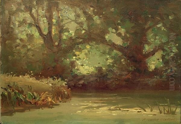 A Woodland Pond Oil Painting by Henry Charles Clifford