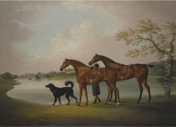 Hunters Held By A Groom, With A Newfoundland Dog, By Alake Oil Painting by Daniel Clowes