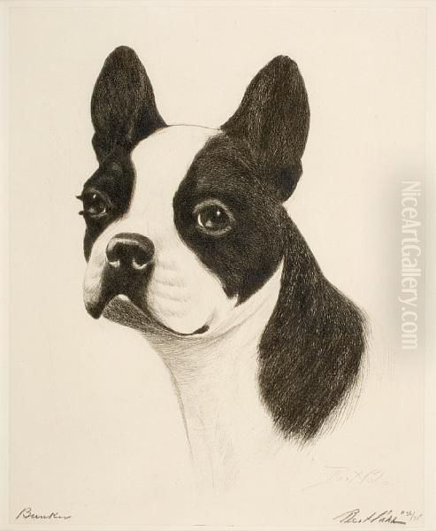 A Boston Terrier Oil Painting by Bert Cobb