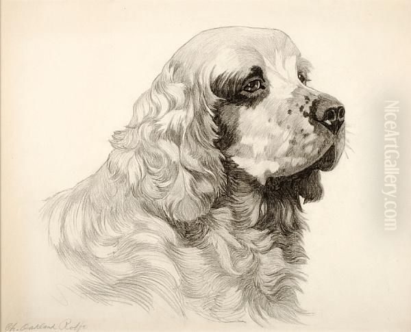 Champion Oakland Rolfe; Clumber Spaniel Oil Painting by Bert Cobb