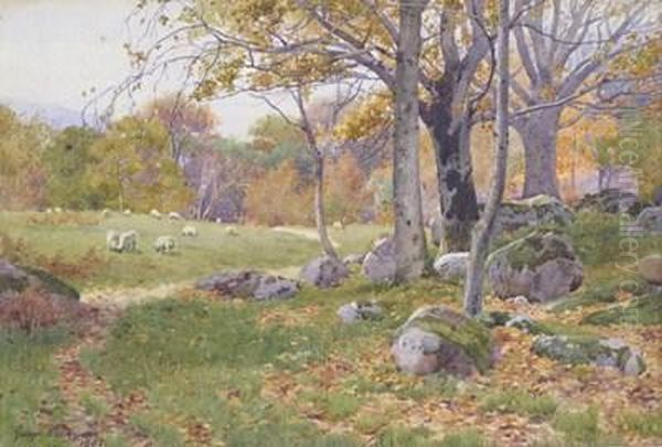 Sheep In A Rocky Wooded Landscape Oil Painting by George Cockram