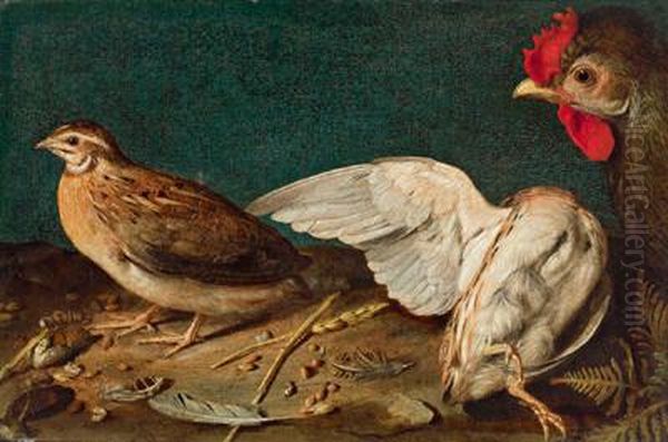 Un Pollo Oil Painting by Francesco Codino