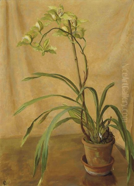 Green Cymbidium Oil Painting by Isabel Codrington