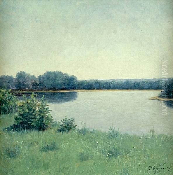 View Of A Pond Oil Painting by William Anderson Coffin