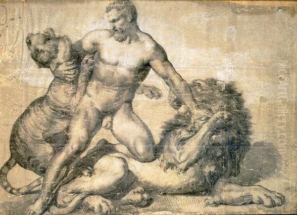 Studio Di Figura Virile Nuda Chelotta Con Una Tigre E Un Leone Oil Painting by Francesco Coghetti