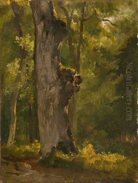 Etude De Tronc D'arbre Dans Un Sous-bois Oil Painting by Jules Louis Phillipe Coignet