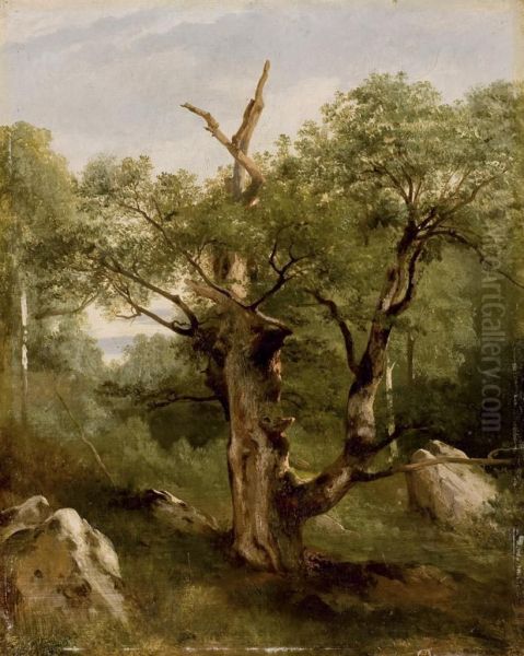 Etude D'arbres Oil Painting by Jules Louis Phillipe Coignet