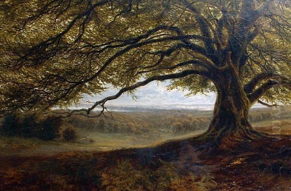 A Summer Woodland View Oil Painting by Alfred Benjamin Cole