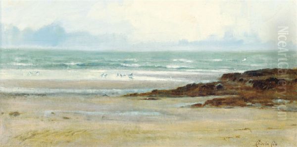 Gulls On A Beach, Low-tide Oil Painting by Chisolm Cole