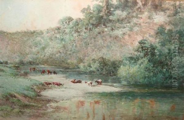 Cattle Watering In A River Oil Painting by Edwin F. Cole