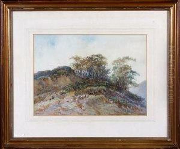 A Tree-topped Hill With Sheep Grazing In The Foreground Oil Painting by Edwin F. Cole