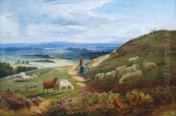 Sheepat Rest Oil Painting by J.N. Cole