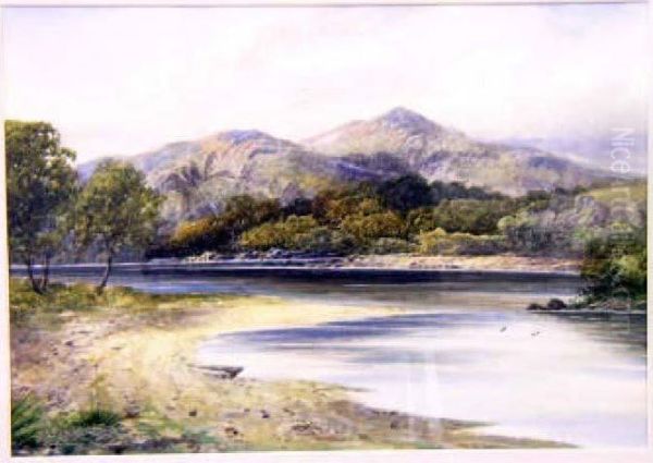 The Silver Strand Oil Painting by A. Coleman