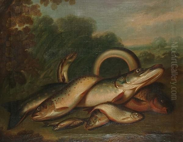 A Catch Of Freshwater Fish Oil Painting by Edward Coleman