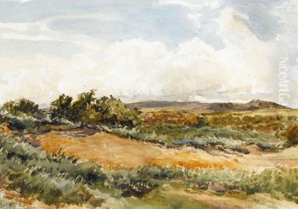 Near Haslemere Surrey Oil Painting by Thomas Collier