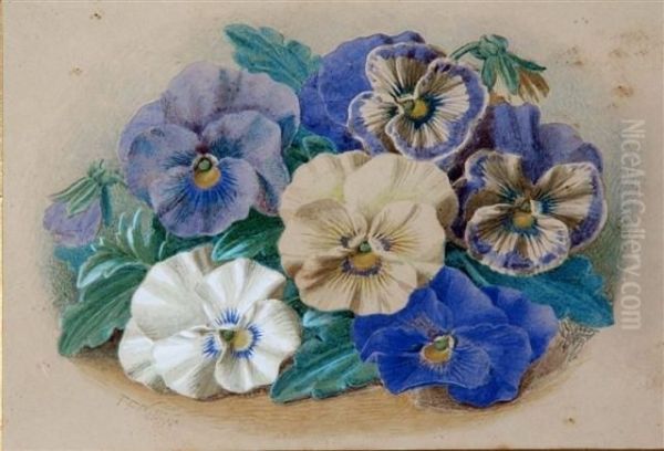 Still Life Of Pansies Oil Painting by Thomas F. Collier