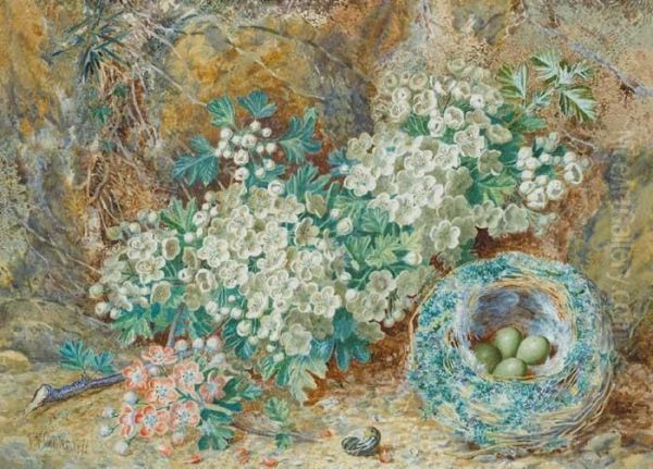 Birds Nest And Wild Flowers Oil Painting by Thomas Collier