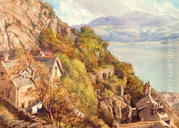 The Rock Gardens Of Barmouth Oil Painting by William Gersham Collingwood