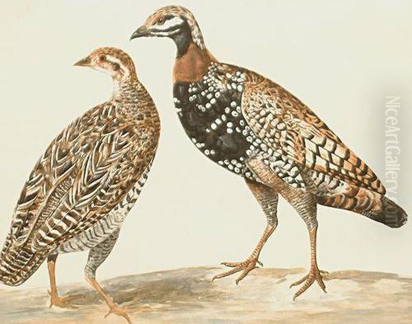 Grouse Oil Painting by Charles Collins