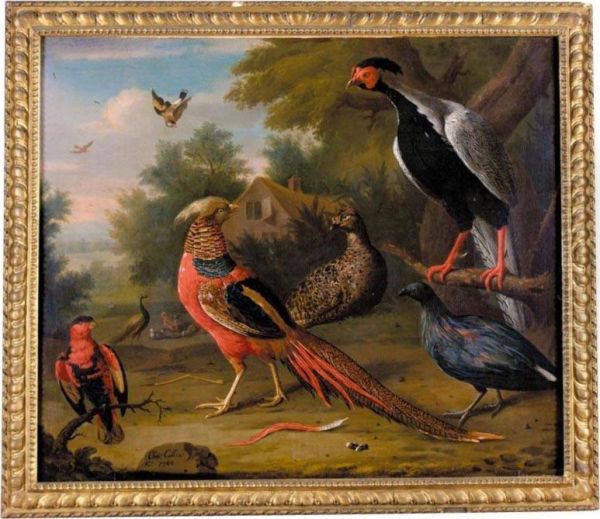 Exotic Pheasants And Other Birds Oil Painting by Charles Collins