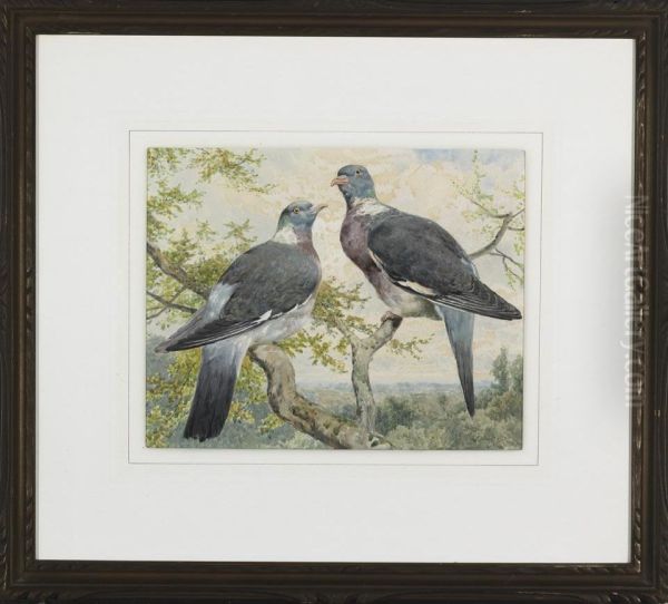 Wood Pigeons Oil Painting by Charles Ii Collins