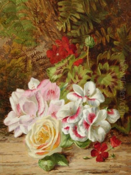 Still Life Of Flowers And Ferns Oil Painting by Thomas Collins