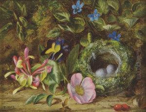 A Naturalistic Still Life With Birds Nest And Wildflowers Oil Painting by Thomas Collins