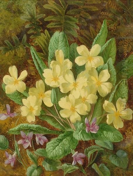 'primroses And Violets' And 'azalea Blooms' Oil Painting by Thomas Collins