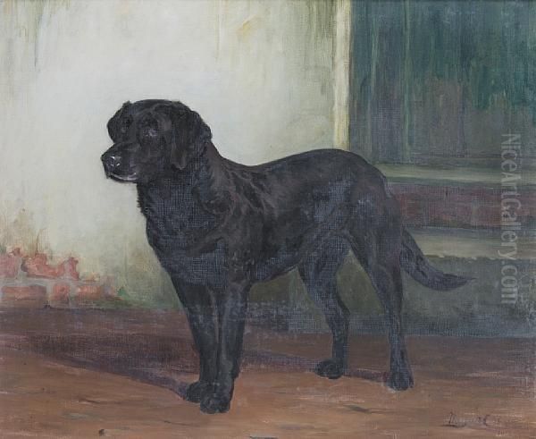 A Portrait Of A Black Labrador Oil Painting by Margaret Collyer