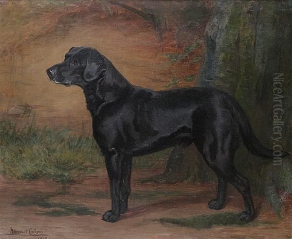 Portrait Of A Black Labrador Oil Painting by Margaret Collyer