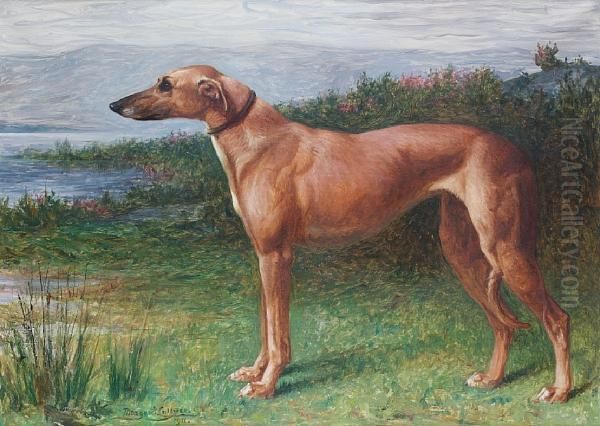 Portrait Of A Greyhound In A Landscape Oil Painting by Margaret Collyer