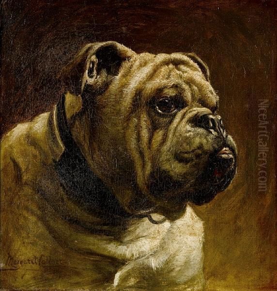 A Bulldog Oil Painting by Margaret Collyer