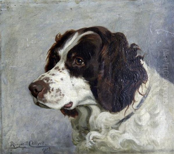 Portrait Of A Springer Spaniel Oil Painting by Margaret Collyer