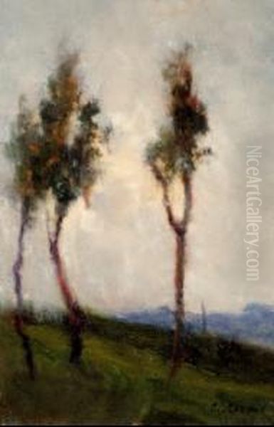 Paesaggio Oil Painting by Giovanni Colmo