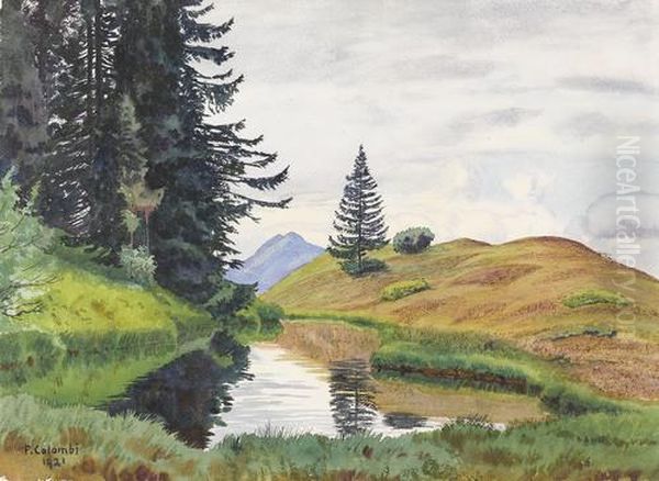 Sommerlicher Weiher In Den Alpen Oil Painting by Plinio Colombi