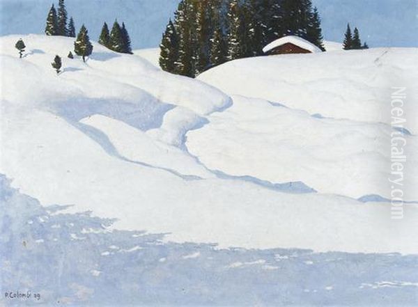 Sonnige Winterlandschaft Oil Painting by Plinio Colombi