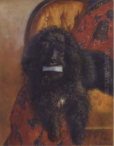 Pretty Poodle Oil Painting by A. Colucci