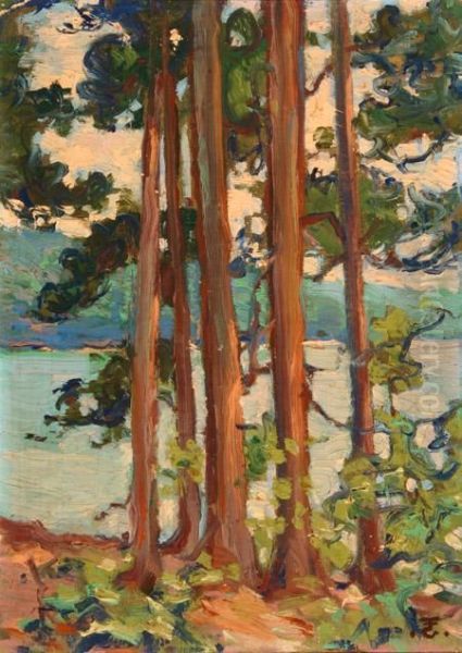 View Of Manulair Lake Oil Painting by Eben Farrington Comins