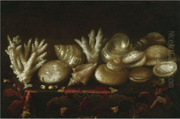 Still Life Of Assorted Shells And Coral Upon A Table Draped Witha Carpet Oil Painting by Meiffren (Ephren) Conte (Leconte)