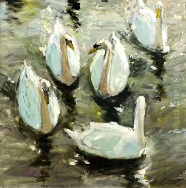 Cygnet & Swans Oil Painting by John Coney