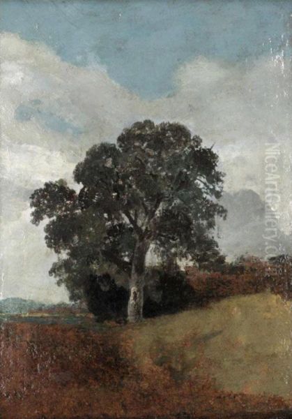 Study Of A Tree Oil Painting by Lionel Constable