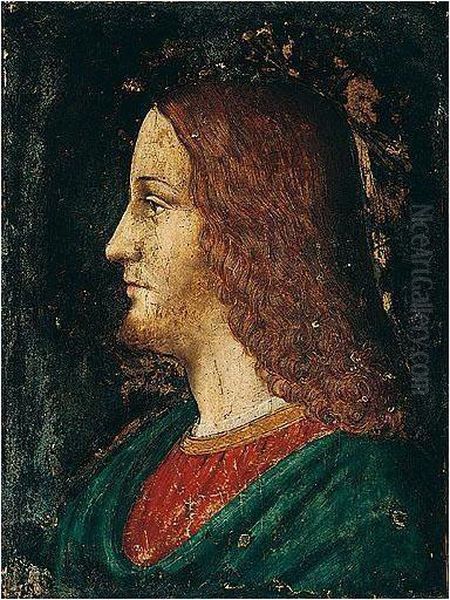 A Study Of The Head Of Christ, In Profile Oil Painting by Dei Bernardino Conti